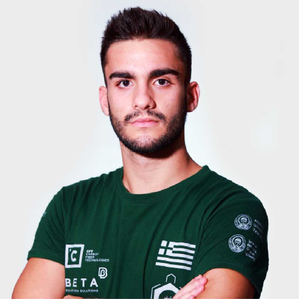 Amoiridis Vasilis portrait